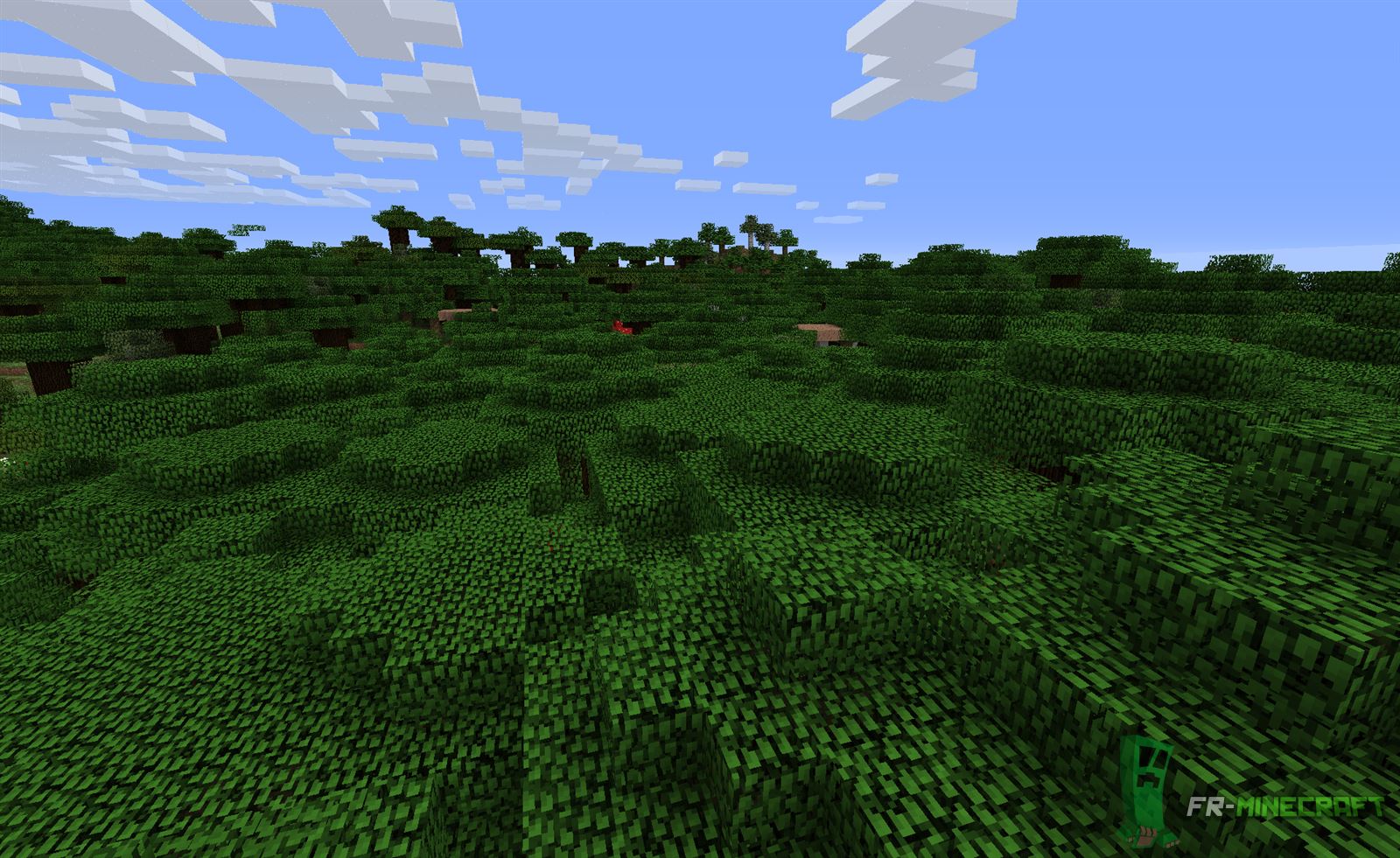 Forest Biome Roofed.