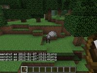 Mod Minecraft Slingshot mod