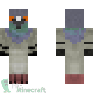 Aperçu de la skin Minecraft Pigeon