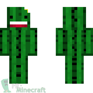 Aperçu de la skin Minecraft Cactus-Man