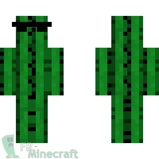 Aperçu de la skin Minecraft Cactus à lunette