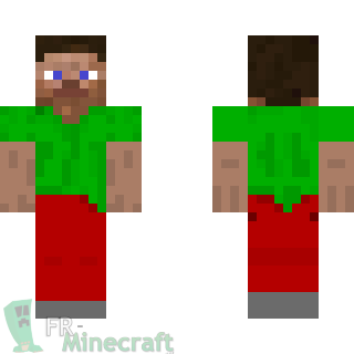 Aperçu de la skin Minecraft Steve vert