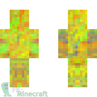 Aperçu de la skin Minecraft Couleur