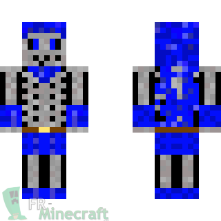 Aperçu de la skin Minecraft Squelette bleu