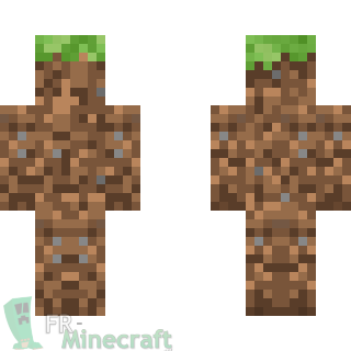 Aperçu de la skin Minecraft Terre