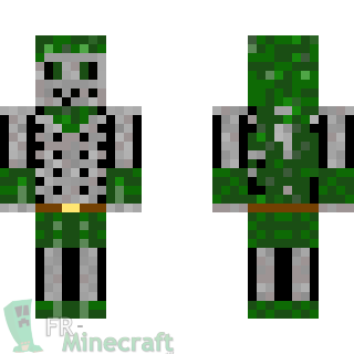 Aperçu de la skin Minecraft Squelette vert