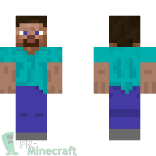 Aperçu de la skin Minecraft Steve