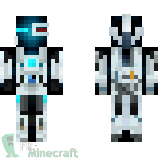 Aperçu de la skin Minecraft Robot enderman