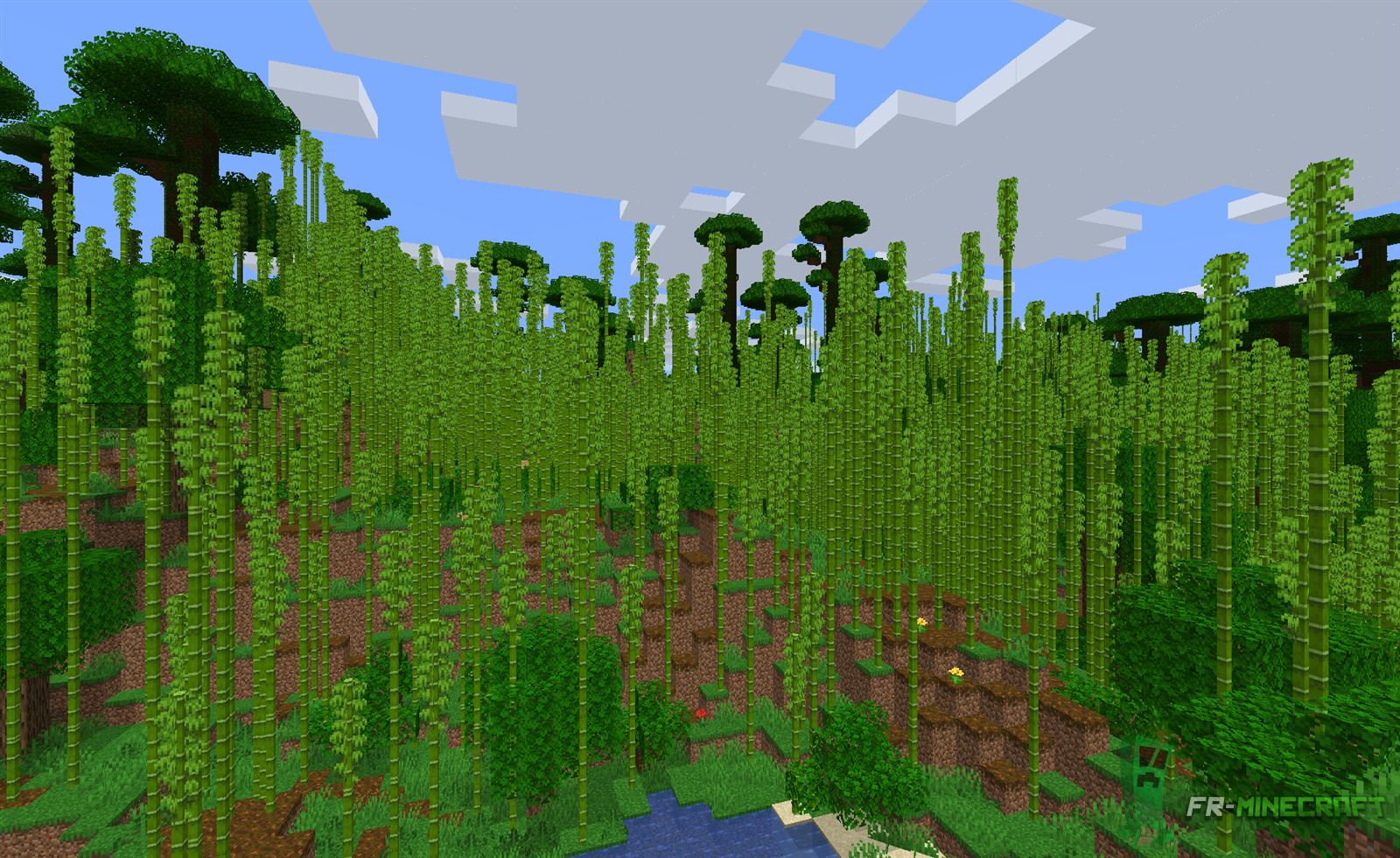 Minecraft jungles. Окраина Биома джунглей. Окраина джунглей в МАЙНКРАФТЕ. Биомы майнкрафт бамбуковые джунгли. Бамбуковый биом в майнкрафт.
