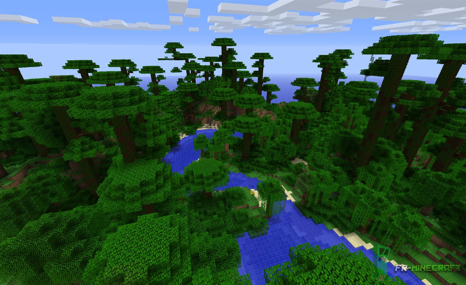  FR Minecraft Lianes