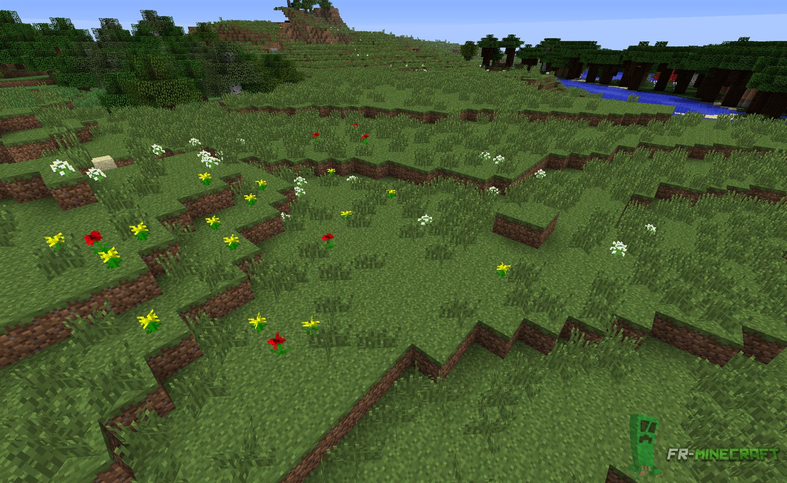  FR Minecraft Biome Plaines