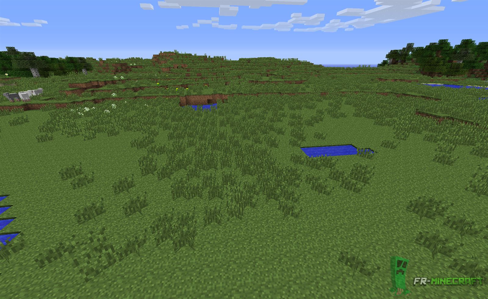  FR Minecraft Biome Plaines