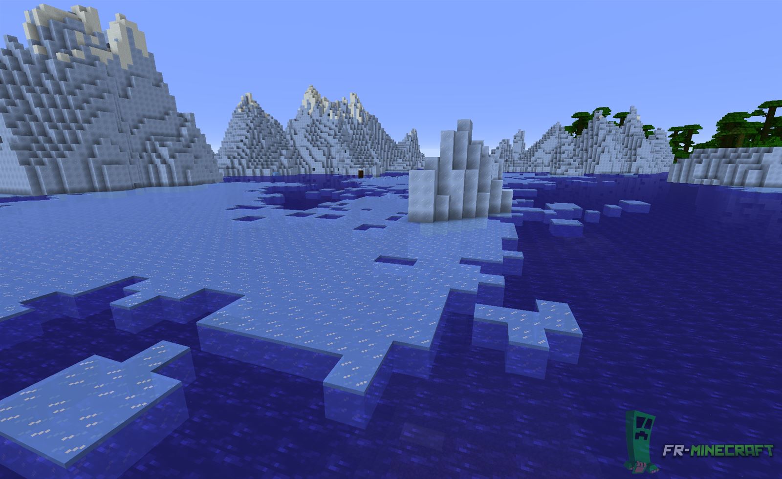 Minecraft Biome Océan gelé