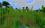 Collines de jungle de bambous