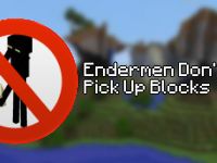 Mod Minecraft Endermen don't pick up
