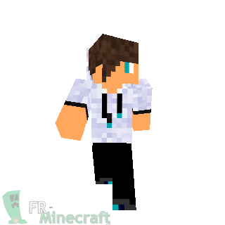 skin Minecraft