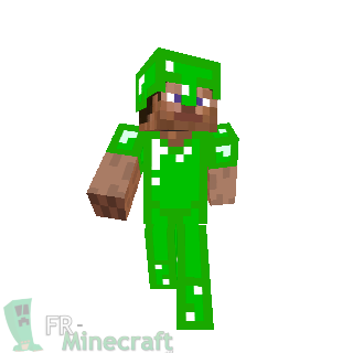  FR Minecraft Skin Minecraft Steve En Armure D meraude