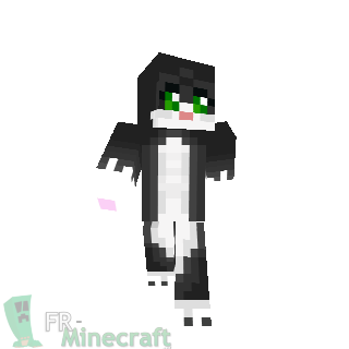 Fr Minecraft Skin Minecraft Chat