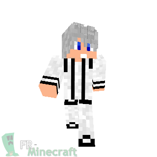 skin Minecraft