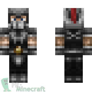 Aperçu de la skin Minecraft Guerrier Gris