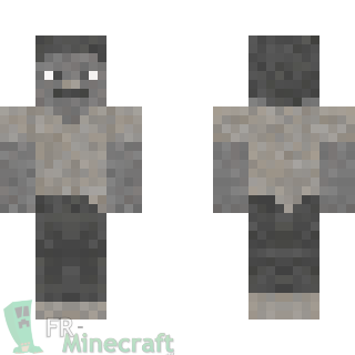 Aperçu de la skin Minecraft Steve pétrifié