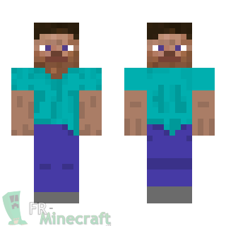 Aperçu de la skin Minecraft Steve double visage