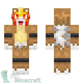 Aperçu de la skin Minecraft Entai - Pokémon