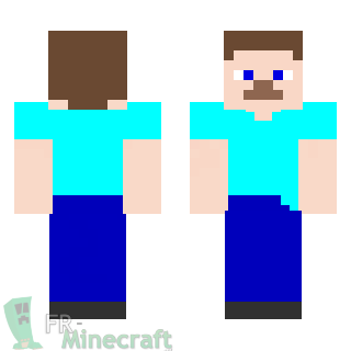 Aperçu de la skin Minecraft Steve a L'envers