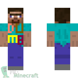 Aperçu de la skin Minecraft steve idiot