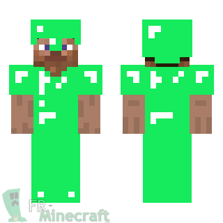 FR Minecraft Skin Minecraft Steve Avec Armure En Emeraude