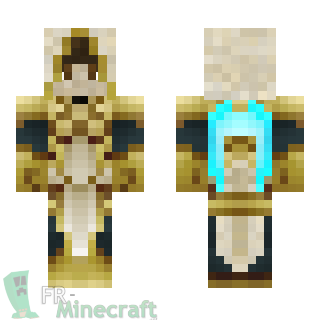 Aperçu de la skin Minecraft Paladin