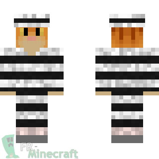 Aperçu de la skin Minecraft Chat prisonnier