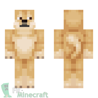 Aperçu de la skin Minecraft Doge