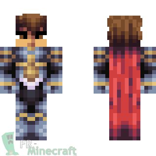 Aperçu de la skin Minecraft Paladin