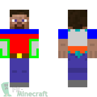 Aperçu de la skin Minecraft Steve en armure colorée