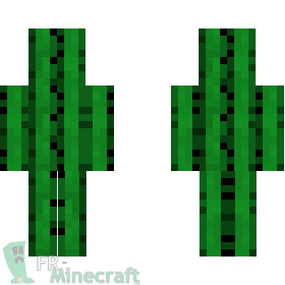 Aperçu de la skin Minecraft Cactus