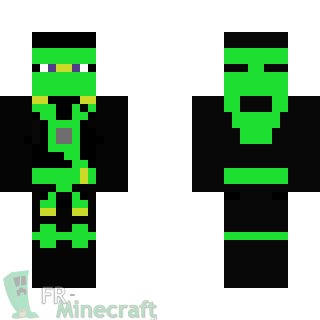 Aperçu de la skin Minecraft Ninja en noir et vert