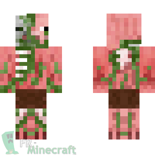 Aperçu de la skin Minecraft PigZombie