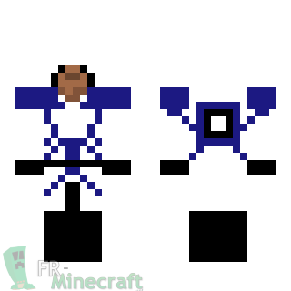 Aperçu de la skin Minecraft Assassin bleu et blanc