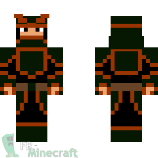 Aperçu de la skin Minecraft Samouraï de la terre