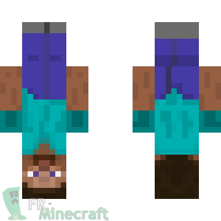 Aperçu de la skin Minecraft Steve renversé