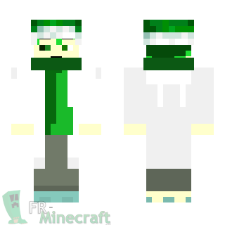 Aperçu de la skin Minecraft Garçon bonnet vert