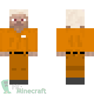 Aperçu de la skin Minecraft Steve Prisonnier