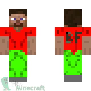 Aperçu de la skin Minecraft Steve En Couleur