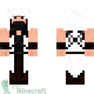 Aperçu de la skin Minecraft Assassin