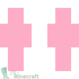 Aperçu de la skin Minecraft Rose