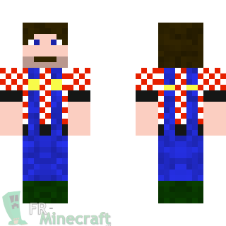 Aperçu de la skin Minecraft Fermier