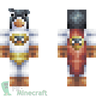 Aperçu de la skin Minecraft Super pinguin