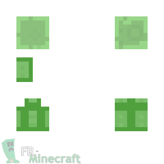 Aperçu de la skin Minecraft Super Slime