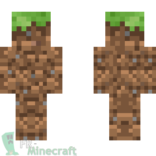 Aperçu de la skin Minecraft Terre